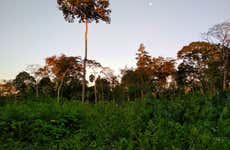 Randonnée de 4 jours à Puerto Maldonado