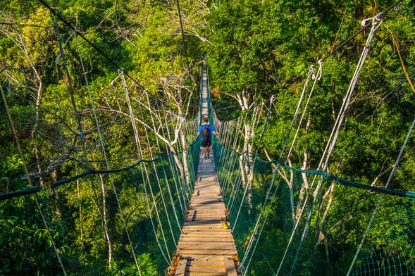 Tour de 4 o 5 días por la selva amazónica