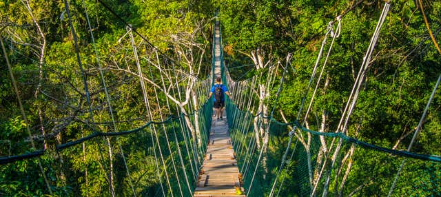 Tour di 4 o 5 giorni nella Foresta Amazzonica