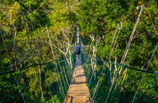 Tour de 4 ou 5 dias pela selva amazônica