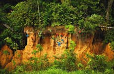 Excursion de 7 jours à Tambopata avec observation d'oiseaux