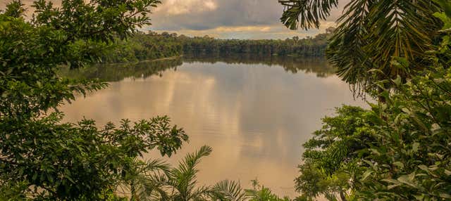 Tour de 2 o 3 días por la Isla de los Monos y el lago Sandoval