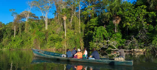 Tour de 4 días por Tambopata con ceremonia de ayahuasca