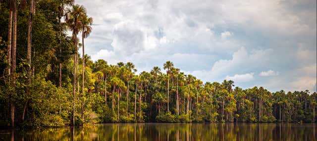 Trekking por la selva + Lago Sandoval