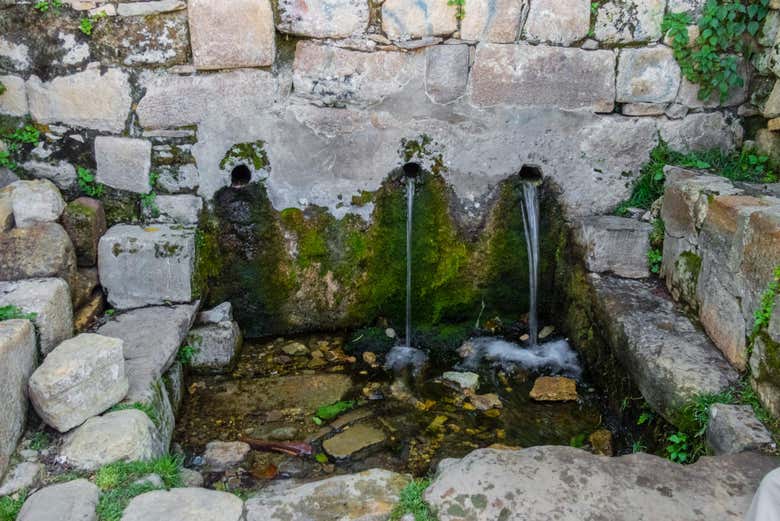 Fuente de la vida