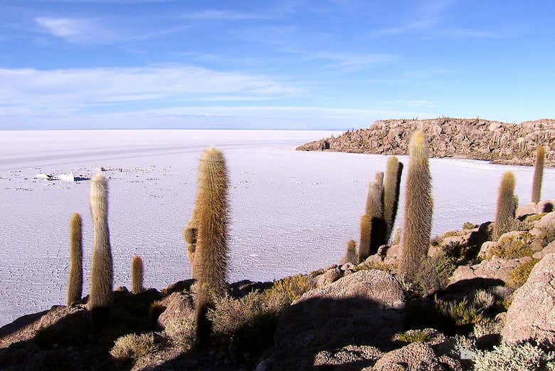 Salar de Uyuni