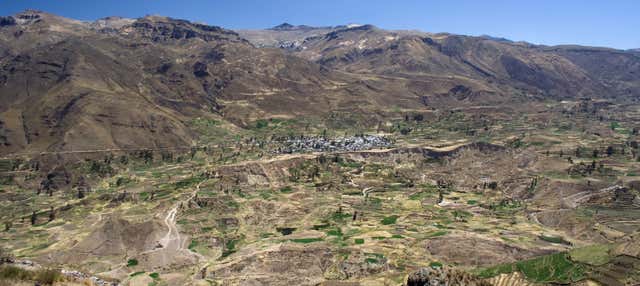Tour de 2 días por el Cañón del Colca finalizando en Arequipa