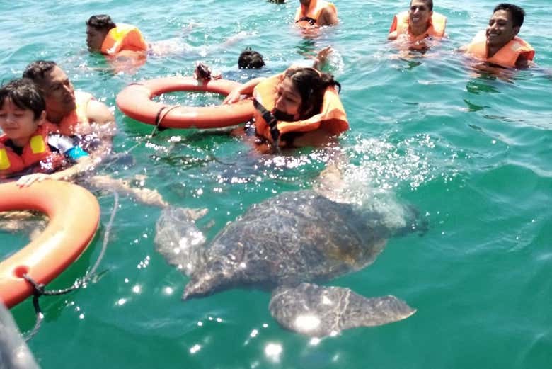 Baño con tortugas