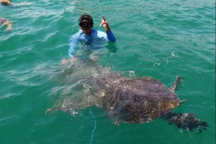 Nadando entre tortugas