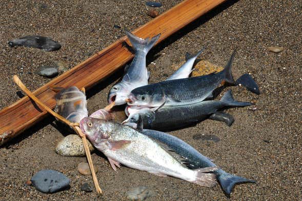 Pêche à Salaverry