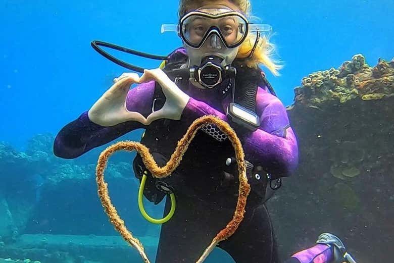 Explorando el fondo del mar