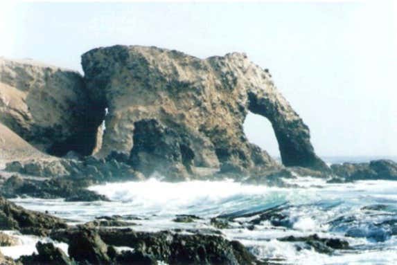 The Elephant's Trunk