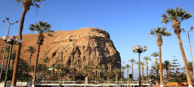 Excursión a Arica