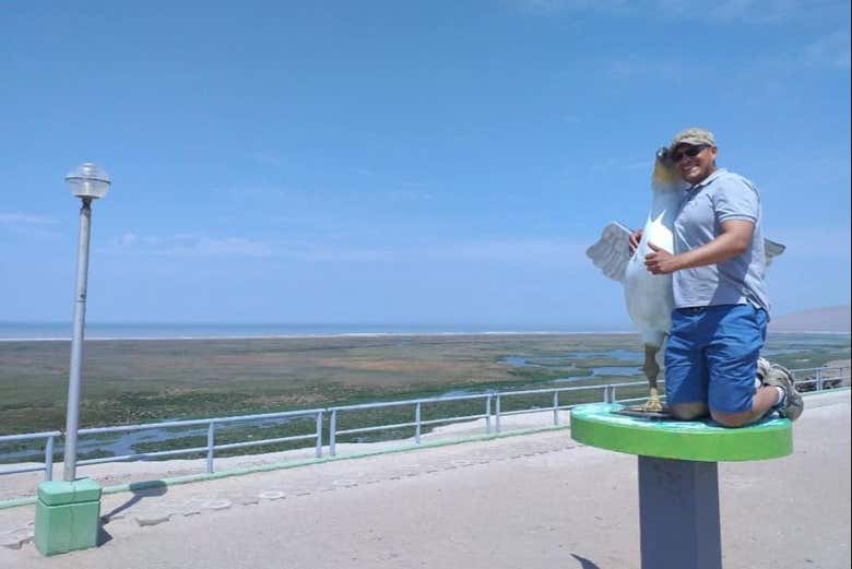 A viewpoint in the Ite Wetlands