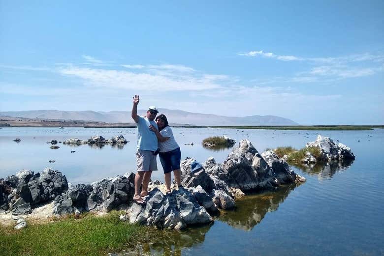 Taking photos in the Ite Wetlands