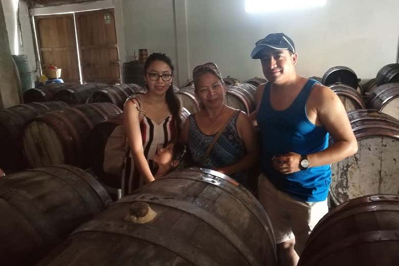 Visitando las bodegas