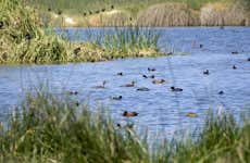 Excursão a Puerto Grau, pântanos de Ite e Lomas de Tacahuay