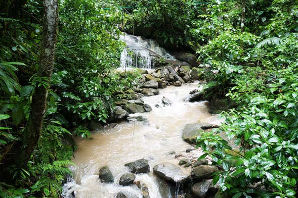 Excursión a la Catarata de Ahuashiyacu