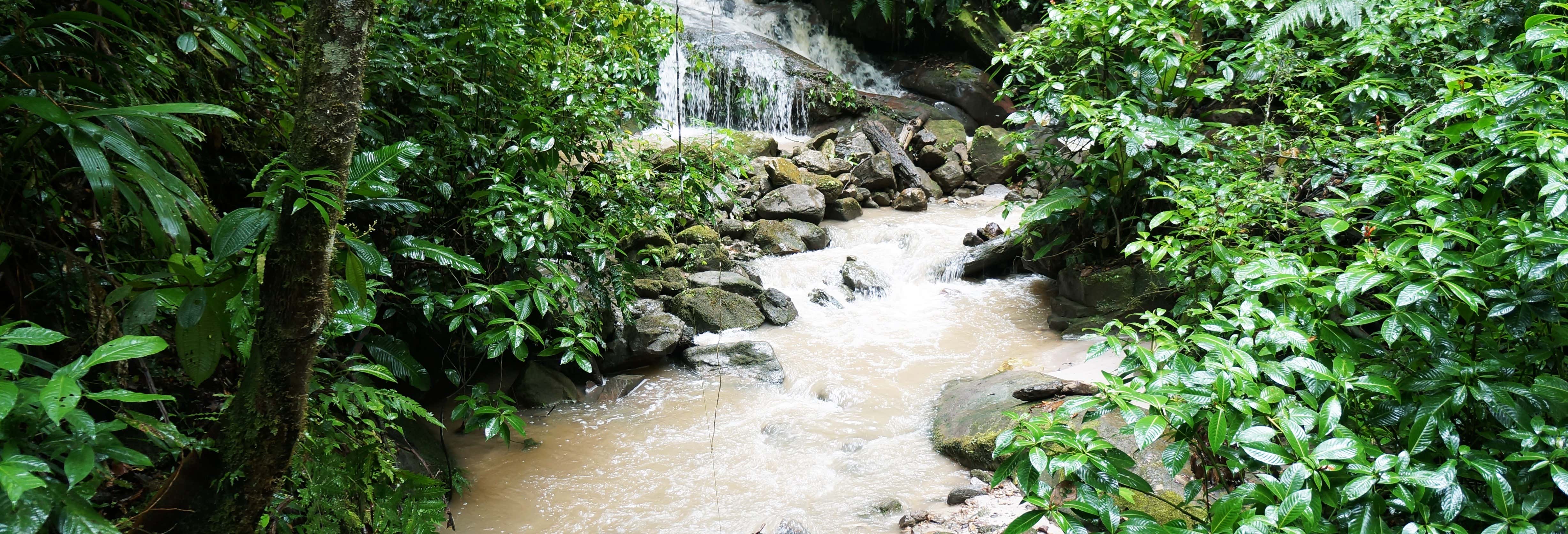 Escursioni di un giorno a Tarapoto