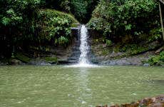 Excursão à catarata de Carpishuyacu
