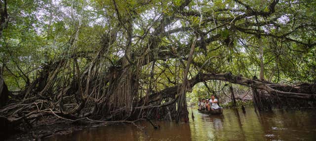 Excursión a la Reserva Ecológica de Tingana + Paseo en canoa