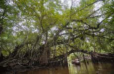 Excursão à Reserva Ecológica de Tingana + Passeio de canoa