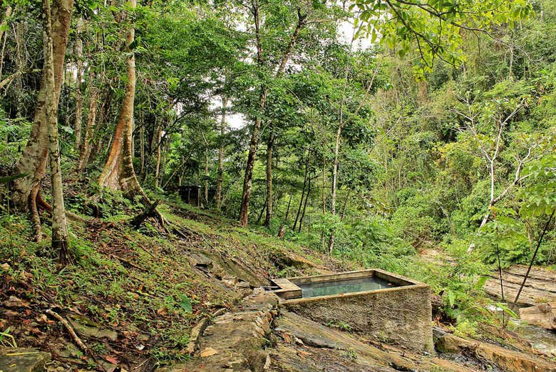 Aguas termales