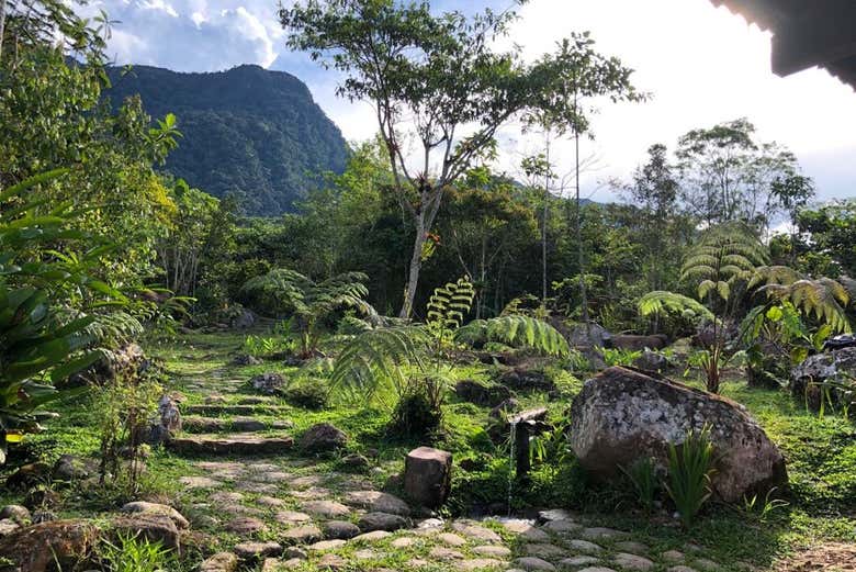 Descubriremos la diversidad alada de la selva peruana