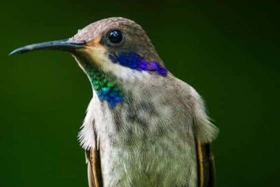 ¡No os lo perdáis!