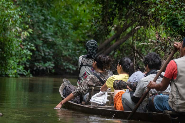 Ecossistema de pântanos único por sua altitude e biodiversidade