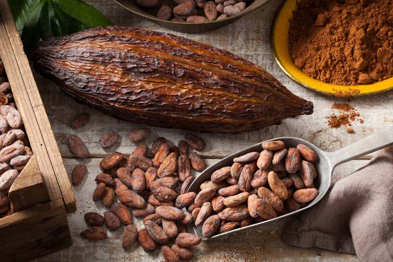 Visitando una fábrica de chocolate en Tarapoto