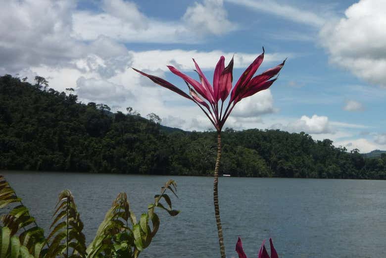 Fauna en la Laguna Azul