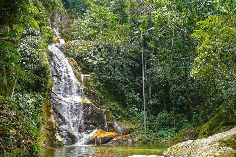 Paisajes de la cascada