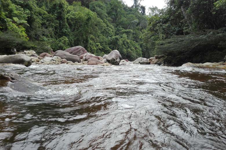 Vistas del Río Cumbaza desde la Catarata de Huacamaillo