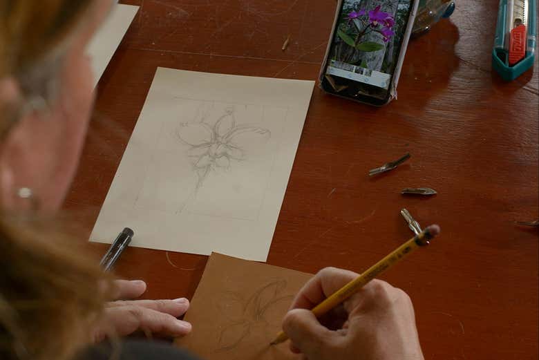 Vi aiuteremo a disegnare la matrice