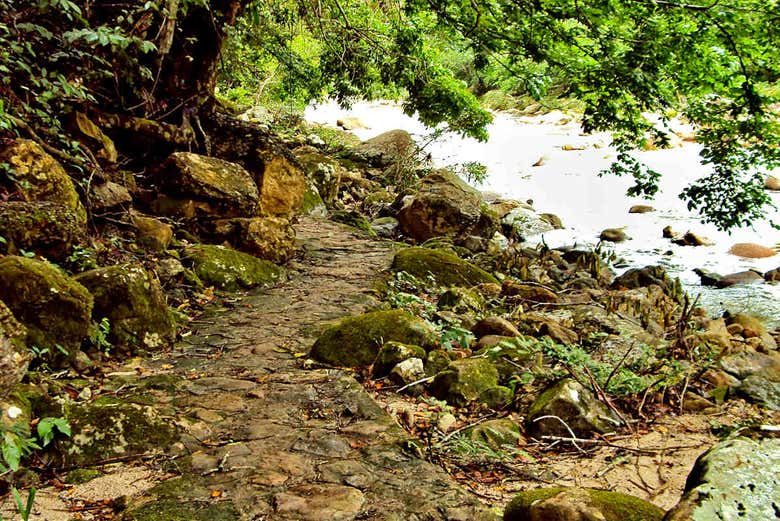 Senderos rumbo a la catarata de Huacamaillo