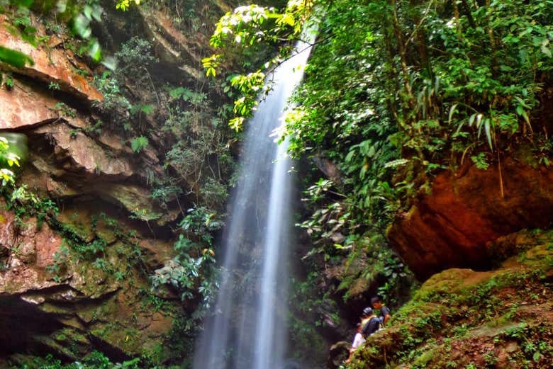 Vista de la cascada