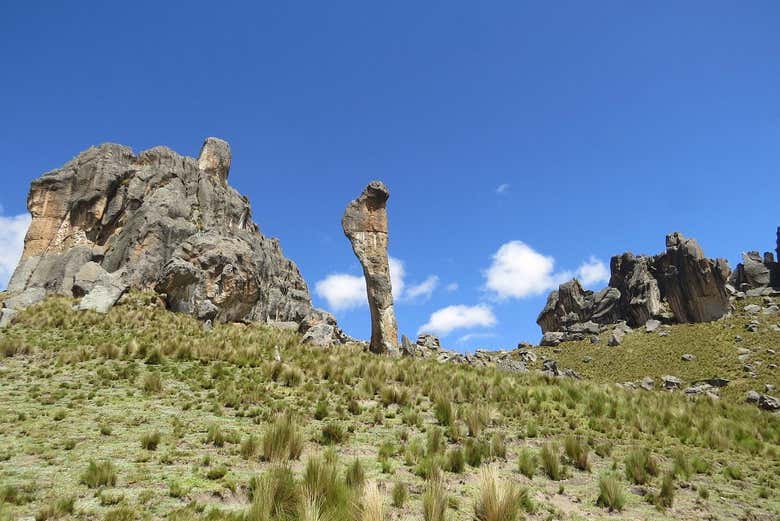 Spot different rock formations in the famous stone forest