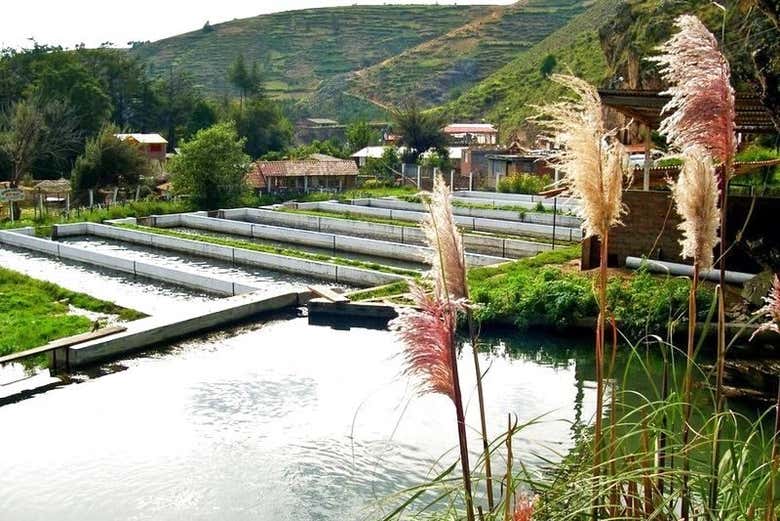 Visit many different facets of this region