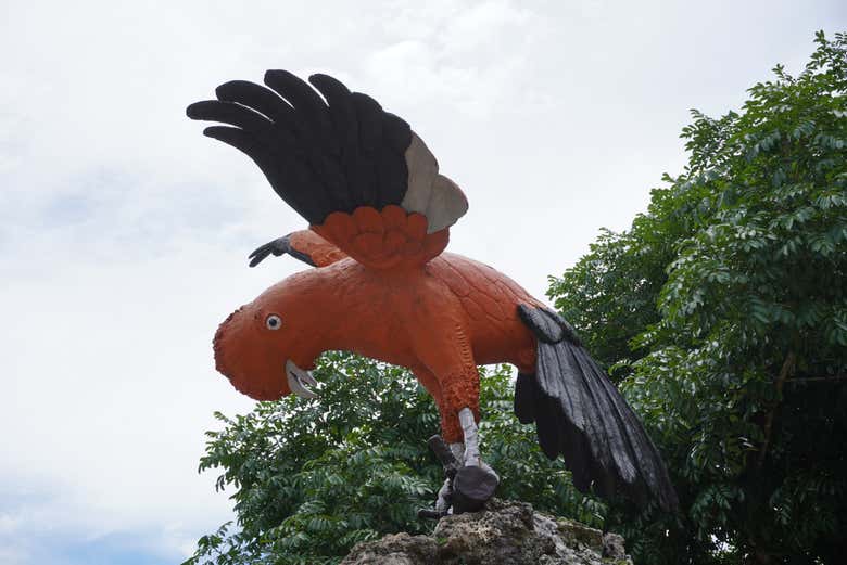 Immerse yoursel in Pozuzo's charm