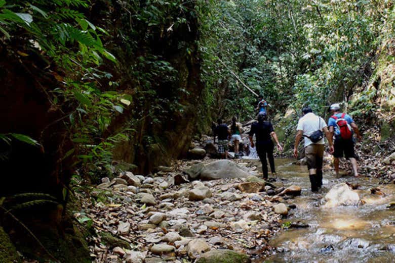 Become Indiana Jones for a day