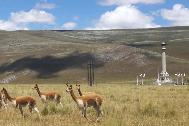 Glimpse regional flora and fauna