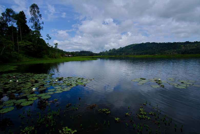 Immerse yourself in the tranquility of this spot