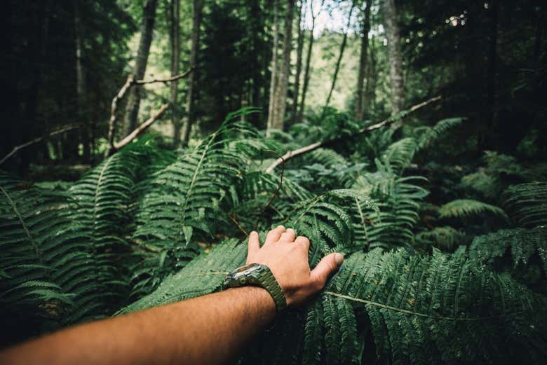 Hiking through the Peruvian jungle