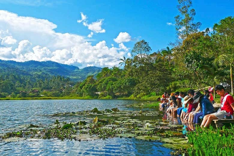 Enjoy a ichthyotherapy session where fish eat your dead skin!