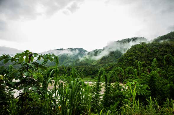 Tour por el valle de Chanchamayo
