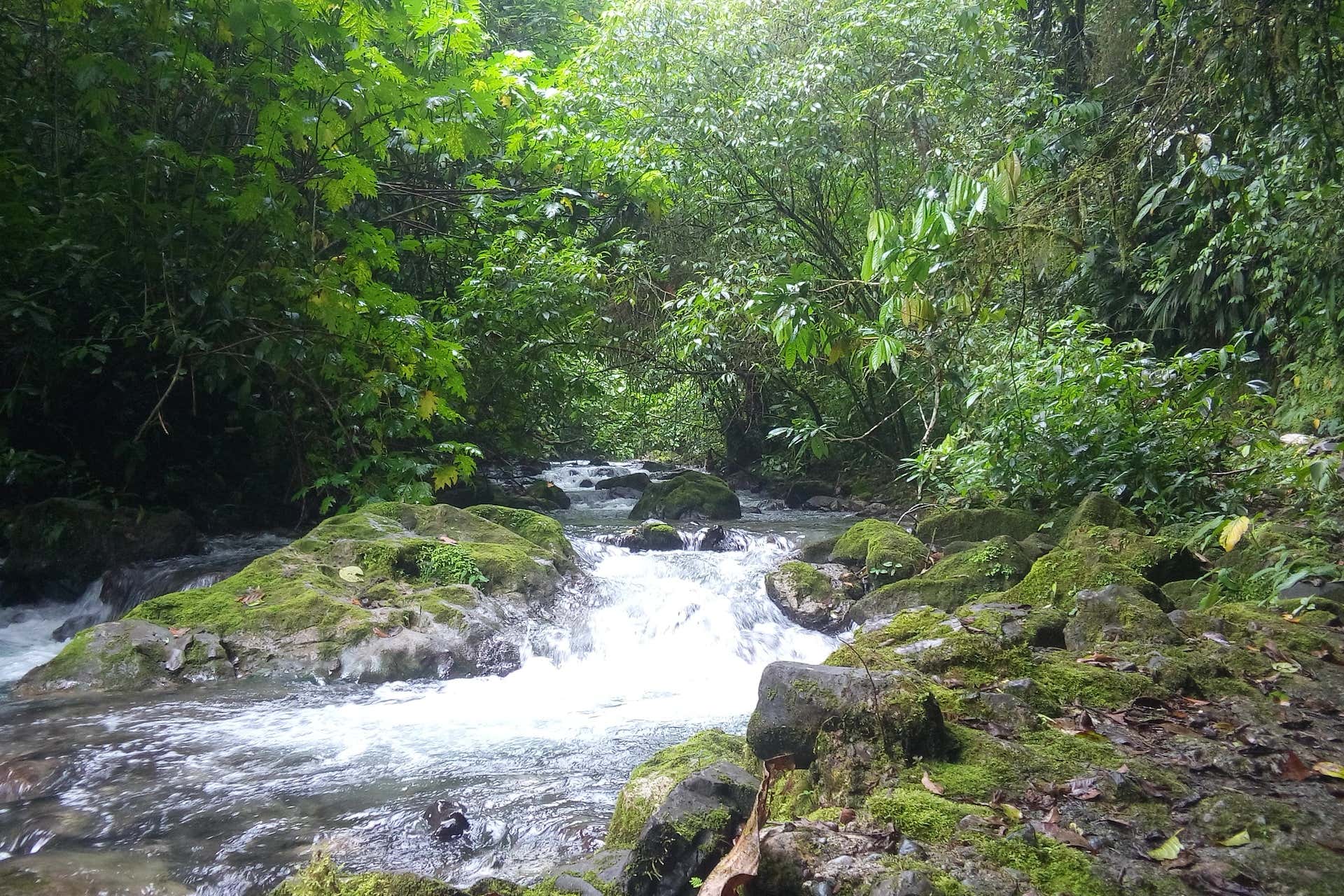 Excursão a Gloriapata