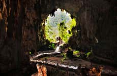 Tingo María National Park Tour