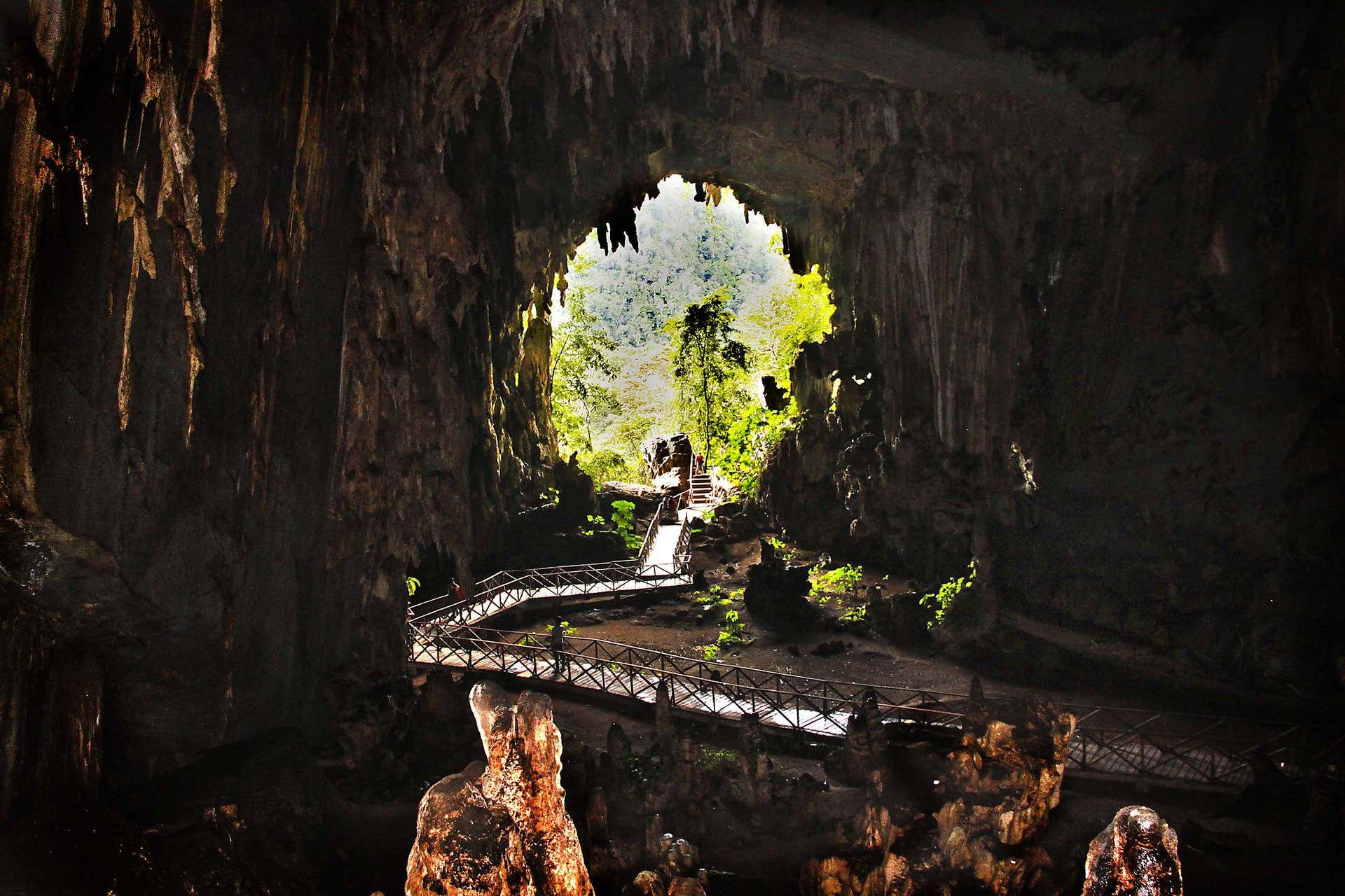 Excursão ao Parque Nacional Tingo María