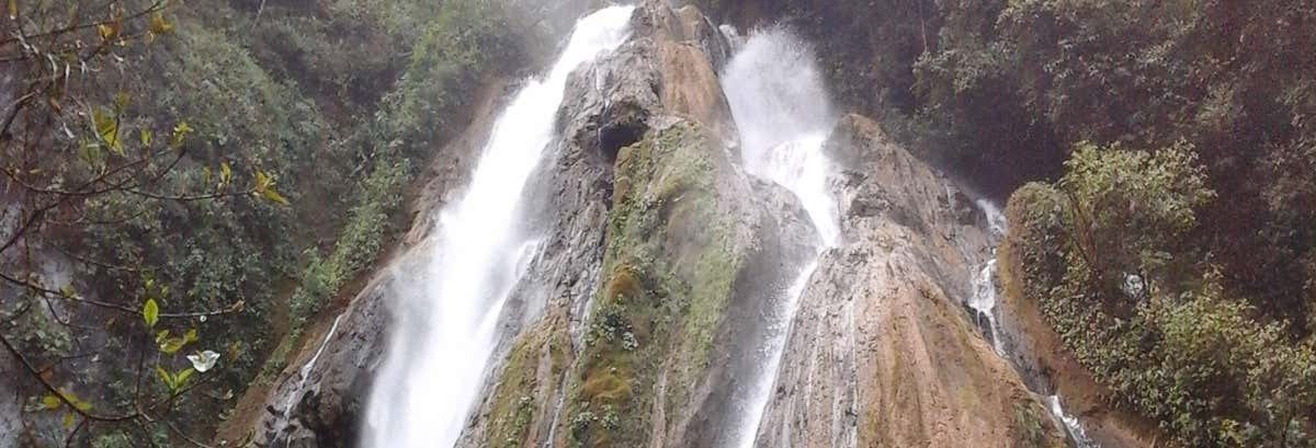 Excursiones de un día en Tingo María